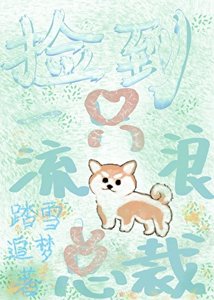 《捡到一只流浪狗总裁》